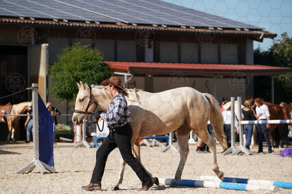 s_A_907514.JPG